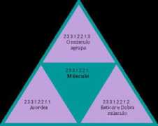 hegel.net Musculo