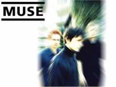 Muse