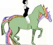 sustainabledressage.net Museler