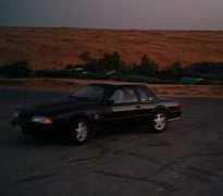 mustangworld.com Mushar
