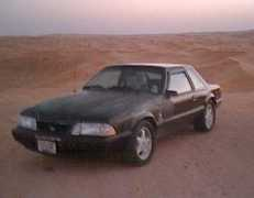 mustangworld.com Mushar