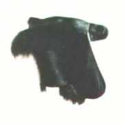 wig-guide.com Mushiri