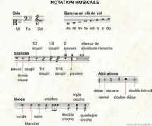 infovisual.info Musicale