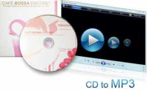 us.raidentunes.com Musican