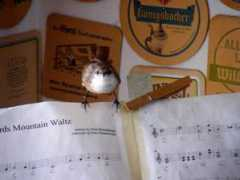 keepbanderabeautiful.org Musici