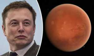 Musk