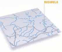 Musopelo