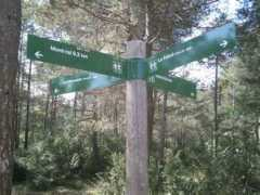 panoramio.com Mussara
