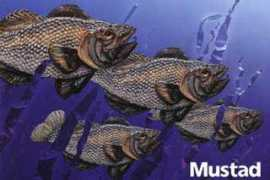 merricktackle.com Mustad