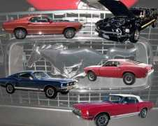 photos.mustangsbymike.com Mustangs