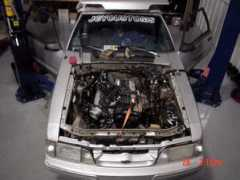 jgy.cc Mustank