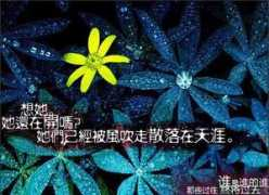 wufallingsnow.bokee.com Mustbe