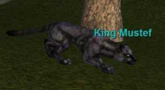 everquest.allakhazam.com Mustef