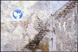 imagesagainstwar.com Musterer