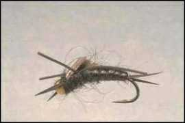 fishing.pl Musza