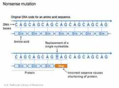daviddarling.info Mutation