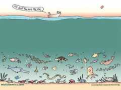 myfreewallpapers.net Mutts