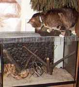 die-tiere.info Mutzer