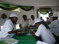 Mwanyika