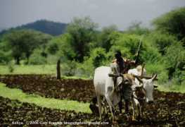 braaschphotography.com Mwingi