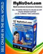 ansysnet.com Mybiz