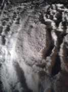 Mycke