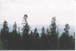 Myckel