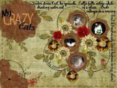 Mycrazy