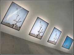 galerie.froggydelight.com Mylaine
