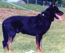 descroisettes.com Mylton