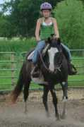 bieberhorses.com Mylynn