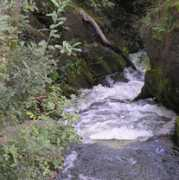 Mynna