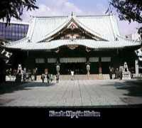 mackinnon.org Myojin