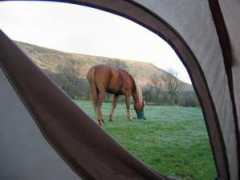 adshead.com Myrandah