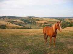 adshead.com Myrandah
