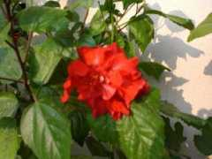 myrela.sunphoto.ro Myrela