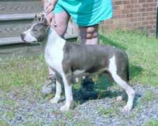 storytimekennel.com Myriah