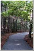 foodiemisadventures.com Myrtlebeach