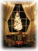 courtneyoquist.com Mytree