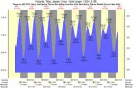 surf-forecast.com Naarai