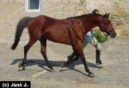 lydielemmens.free.fr Nabath