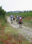 coutillas-endurance.com Nabath