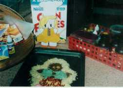 flatstanleyproject.com Nabhila