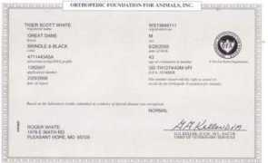 greatdanes4u.com Nabilia