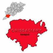 orissadiary.com Nachika