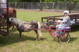 nstarhitches.com Nacona