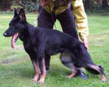 Naddel