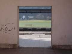Nadr