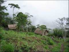 kokodatrek.com.au Naduri