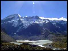 silicoids-world.de Naeche